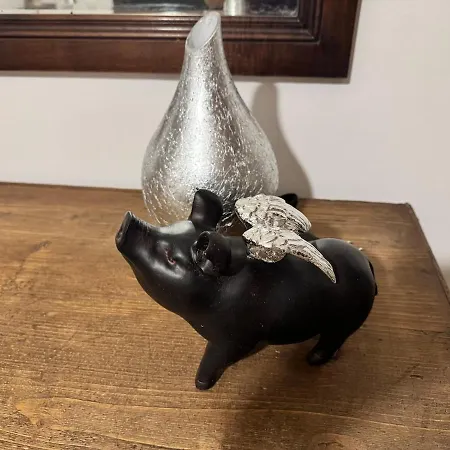 The Queen In The Snow Courmayeur