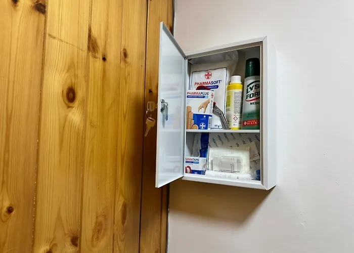 The Queen In The Snow *