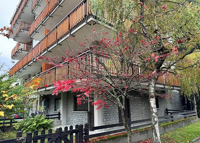 The Queen In The Snow *